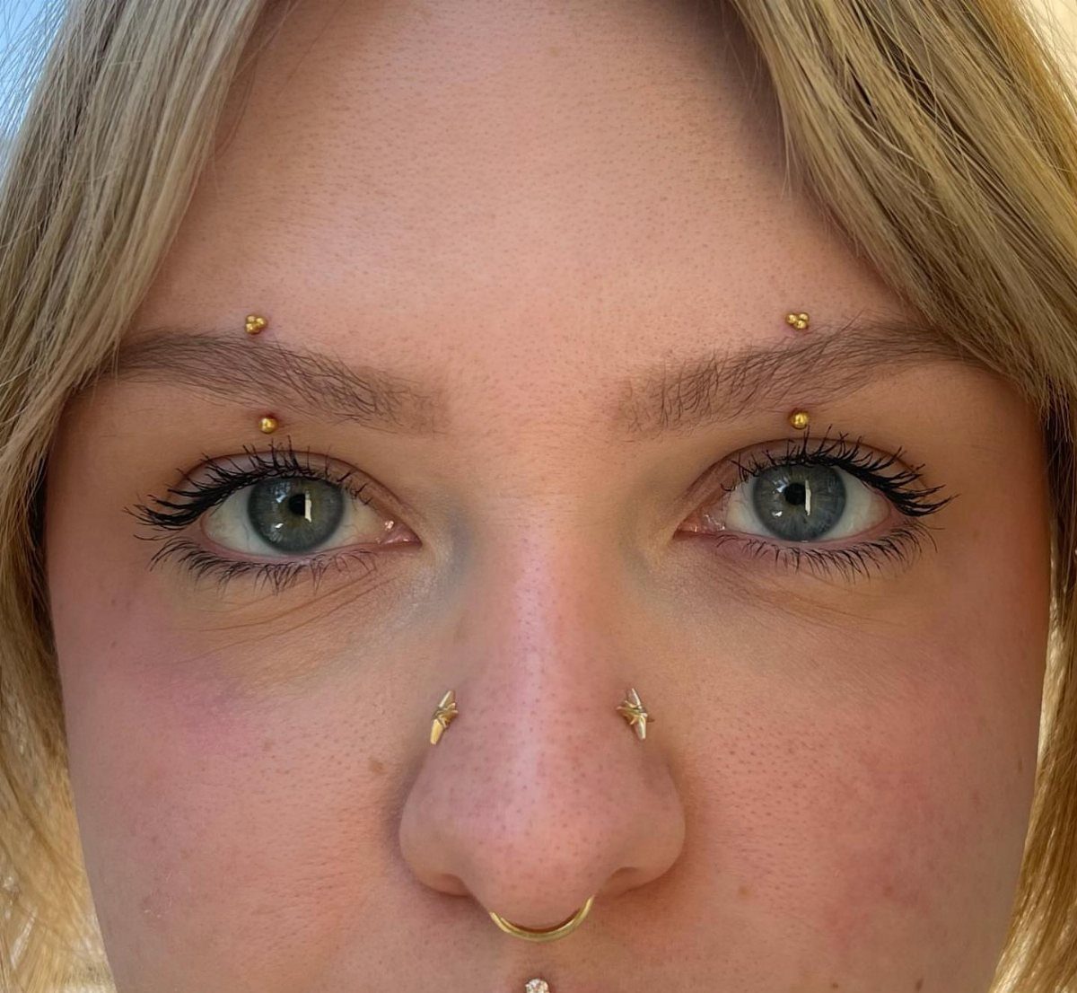 Person with gold piercings in both eyebrows, nostrils, and septum.