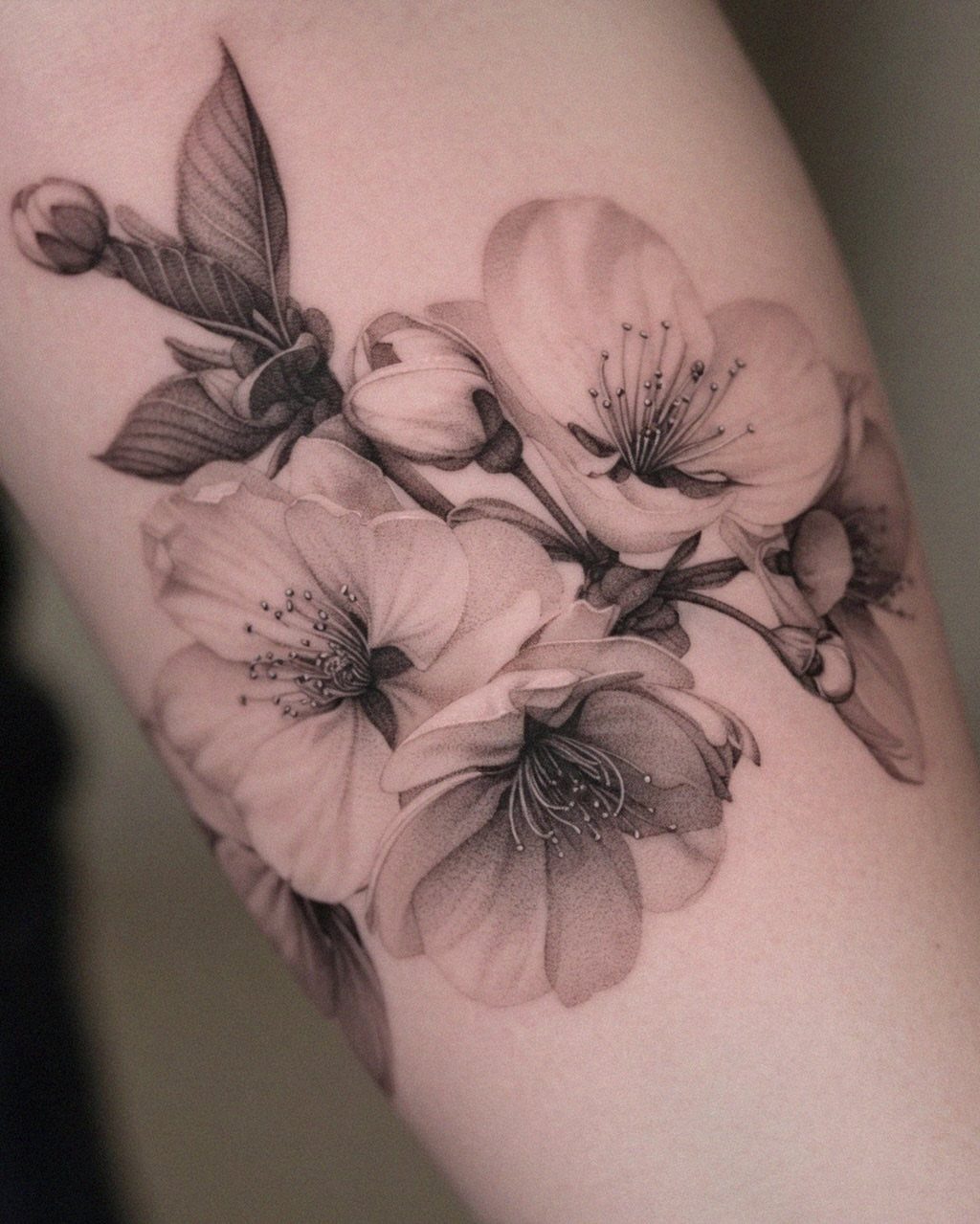 Cherry blossom tattoo with detailed flowers and leaves in black and grey ink
