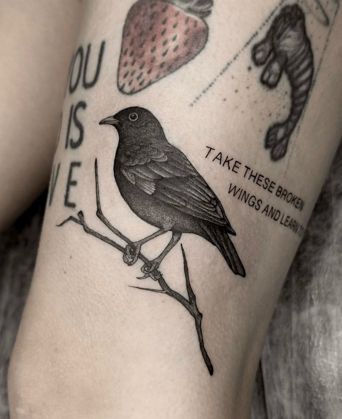 Blackbird tattoo perched on a branch on a person's leg with surrounding ink.