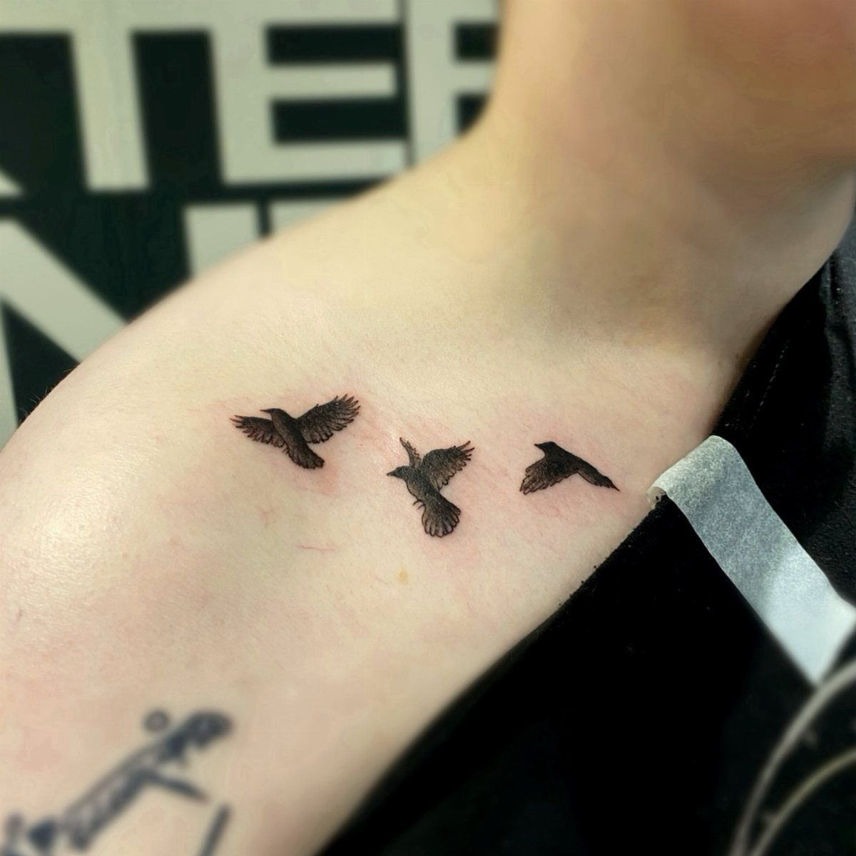 Three small black bird tattoos in flight across a person's collarbone.