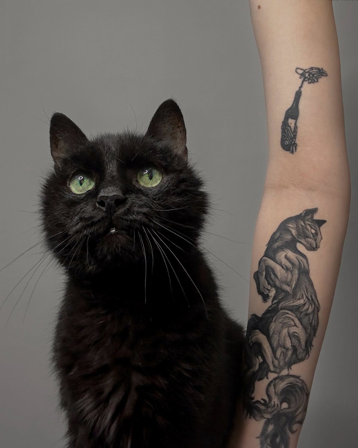 Black cat with green eyes sitting next to a tattooed forearm.