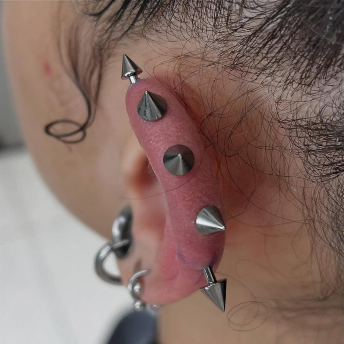 Ear with multiple silver cone spikes piercing the cartilage and rings in the lobe.