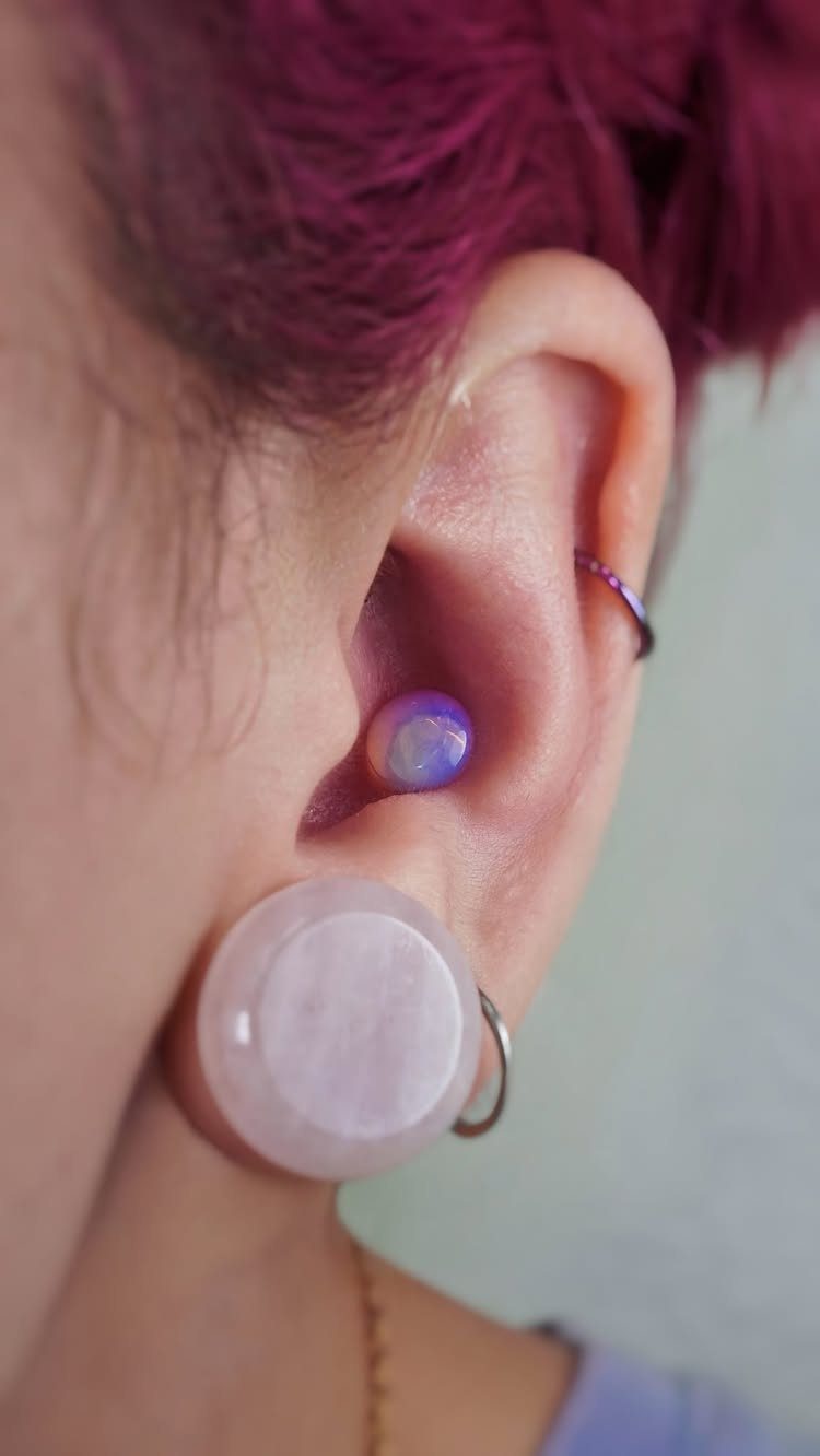 Ear with purple hair featuring a conch stud and large lobe gauge plug.