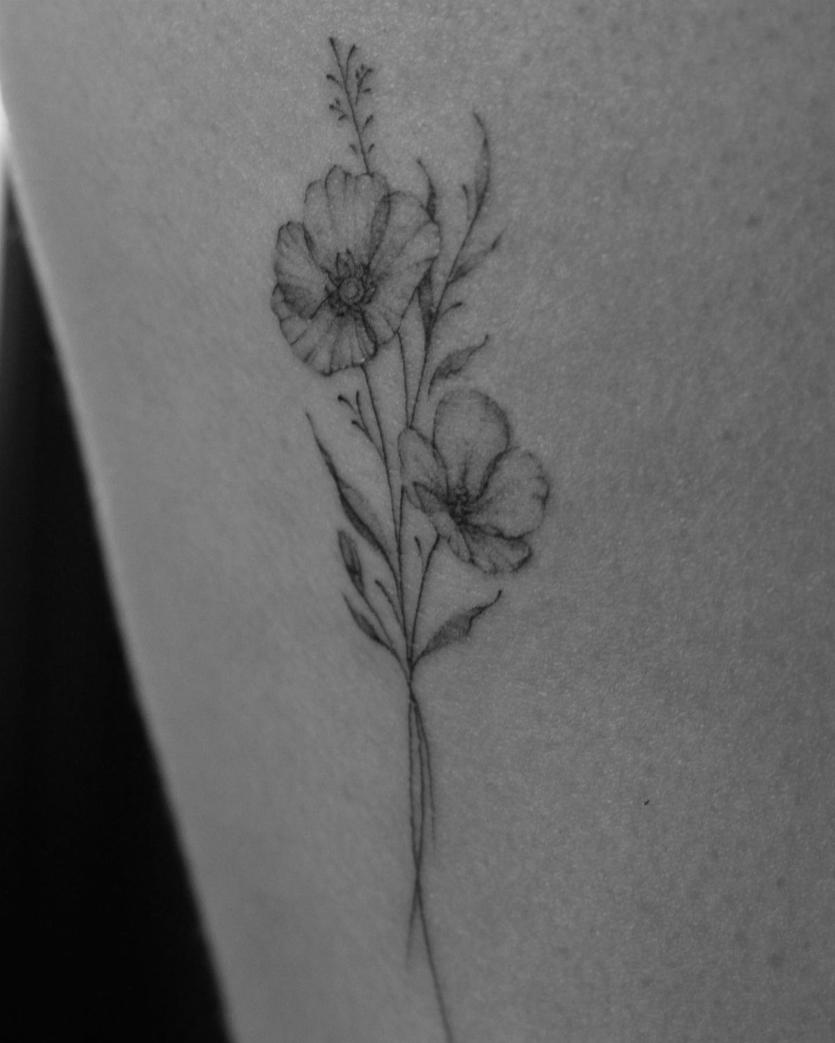 Poppy flower tattoo with fine lines and stems on a person's rib cage.