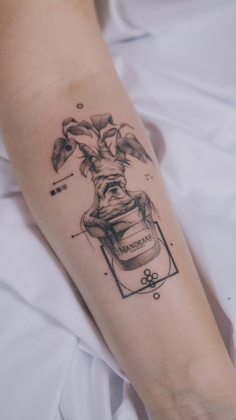 Mandrake root tattoo with a human face in a pot on a forearm