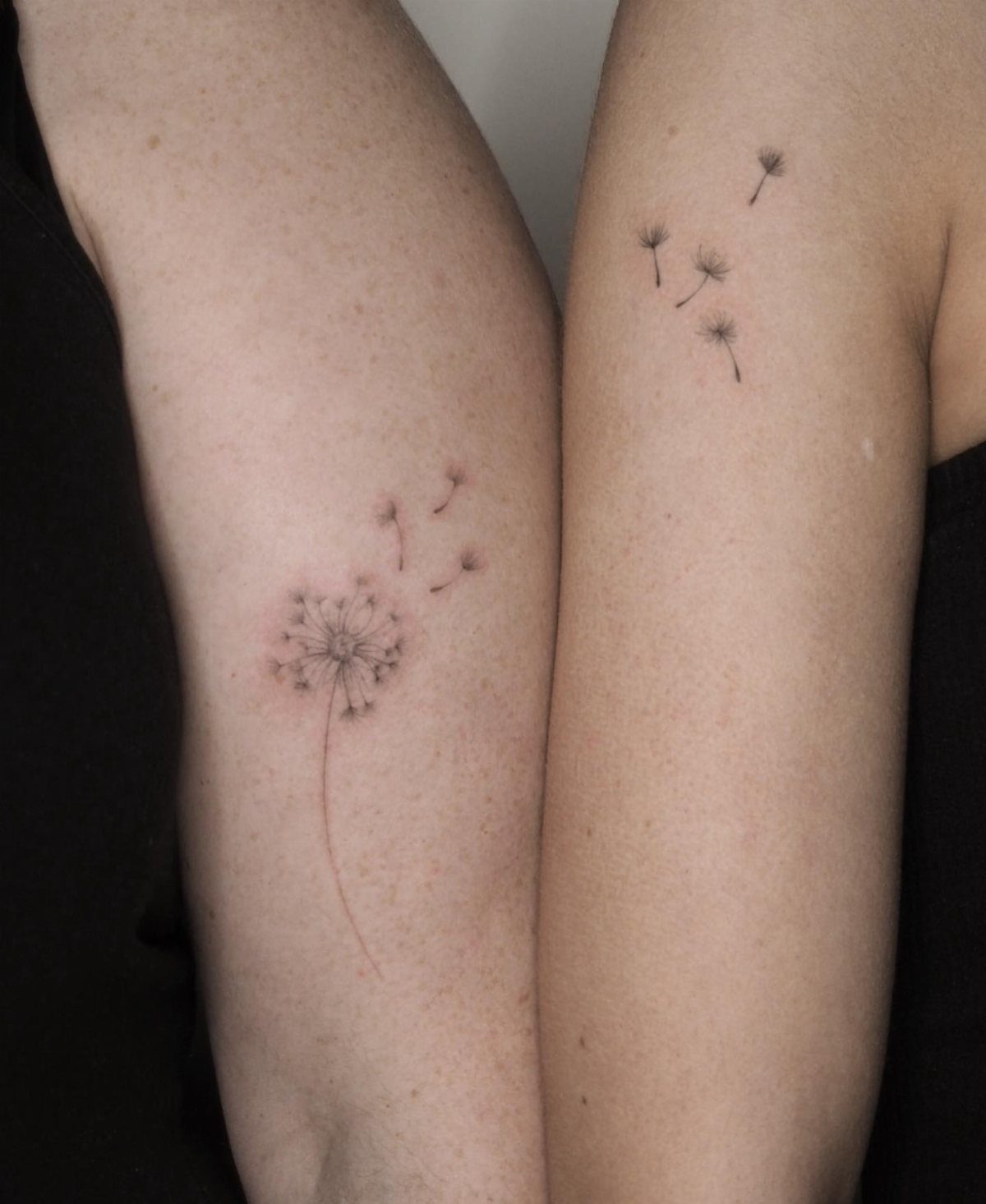 Dandelion flower tattoo on one arm and floating seeds on another arm.