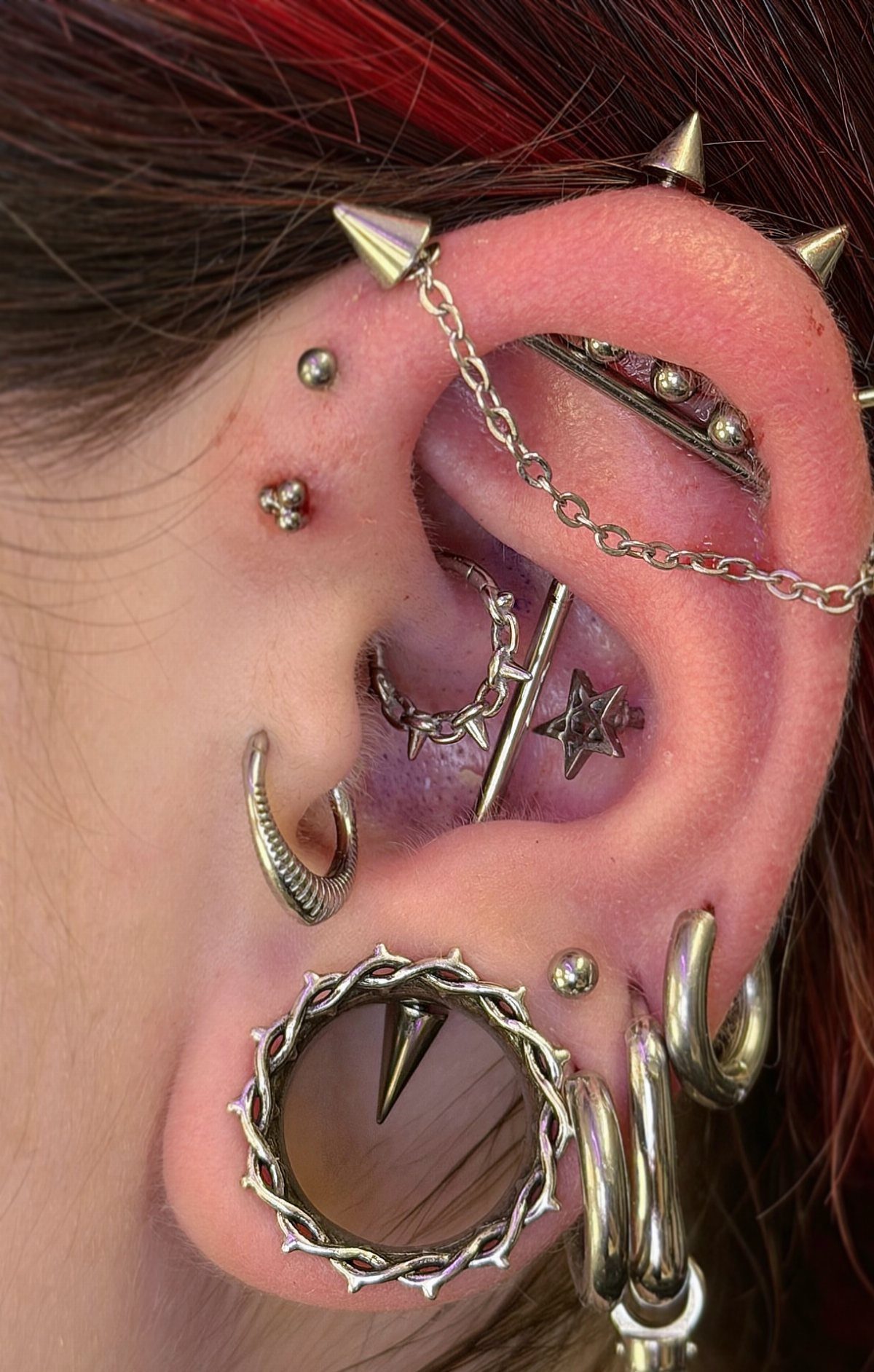 Ear with multiple silver piercings, including a large stretched lobe and cartilage jewelry.