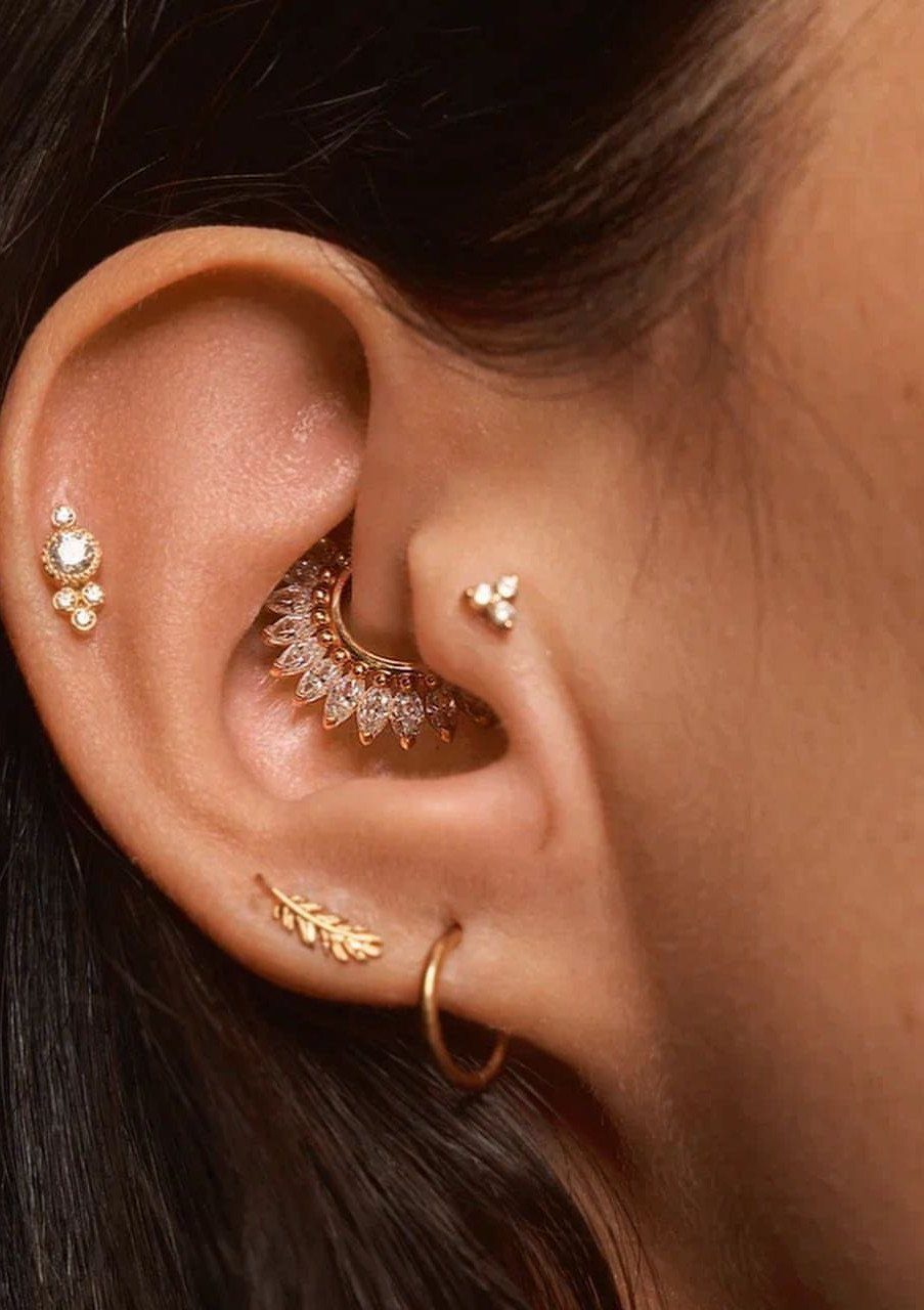 Ear with multiple gold piercings including a crescent moon conch jewel and tragus stud