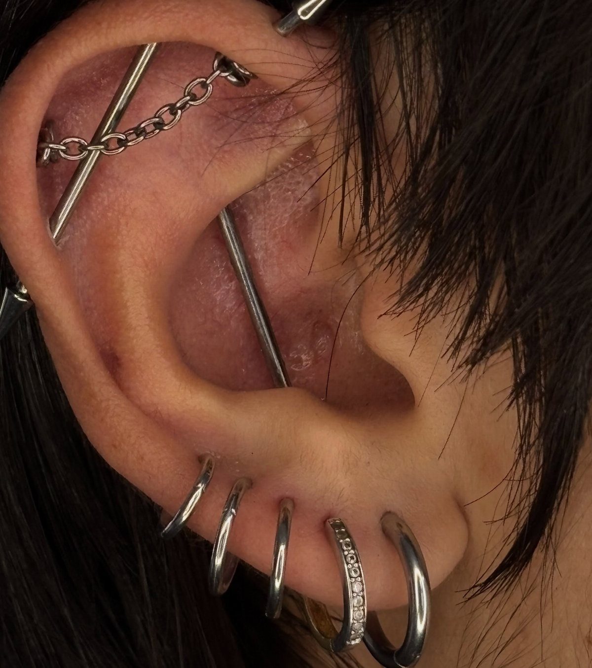 Human ear with an industrial barbell piercing and multiple silver lobe hoops.