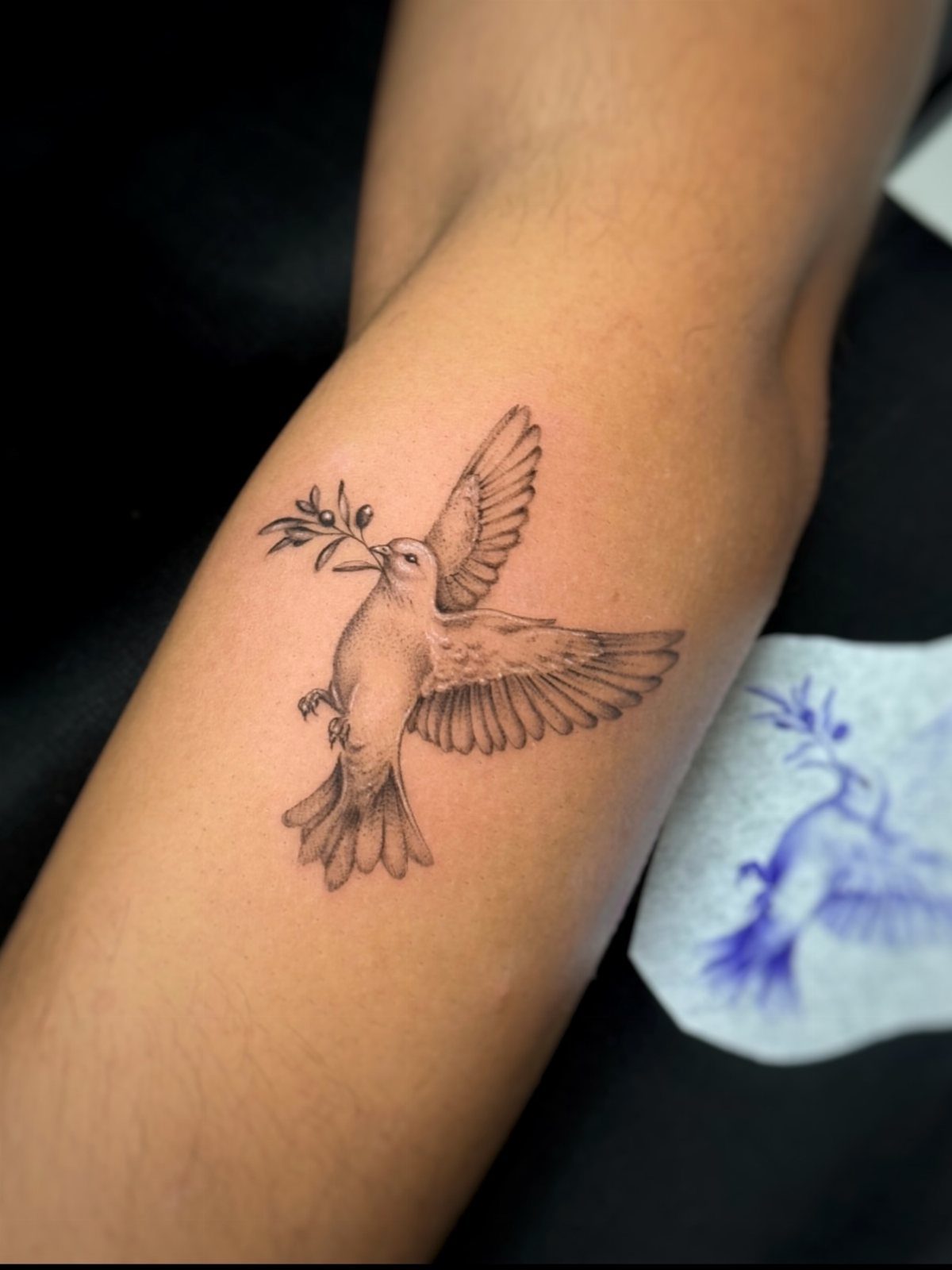 Dove tattoo with an olive branch on a person's forearm in black ink.
