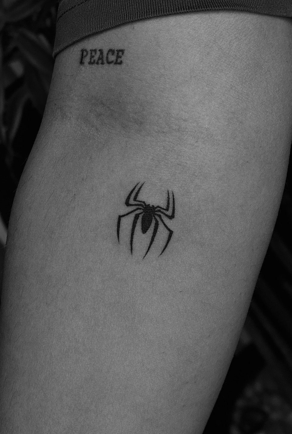 Small black spider tattoo and the word PEACE on a person's inner arm.