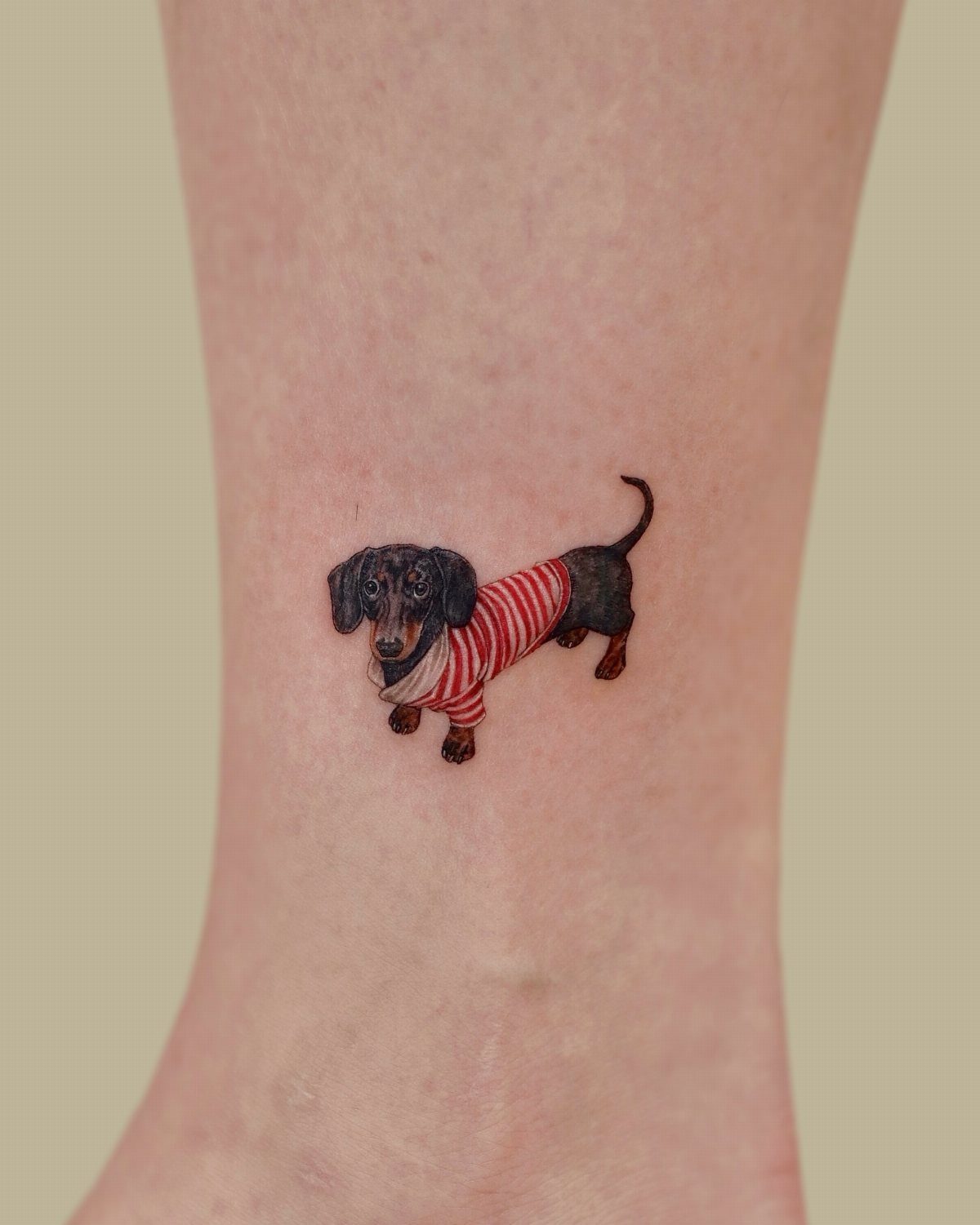 Dachshund tattoo wearing a red and white striped sweater on a person's arm
