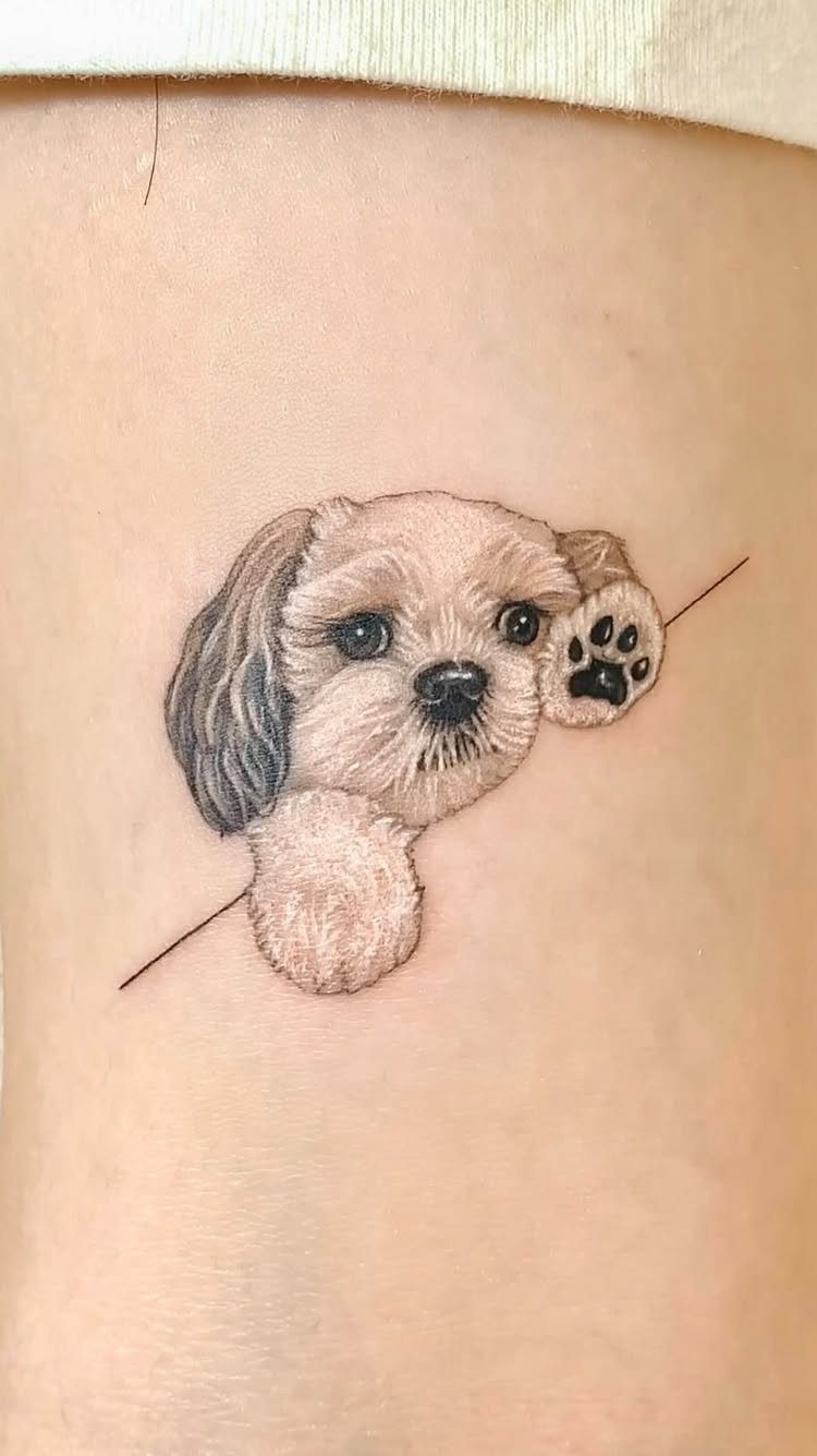 Small dog tattoo of a fluffy puppy peeking over a line on skin.