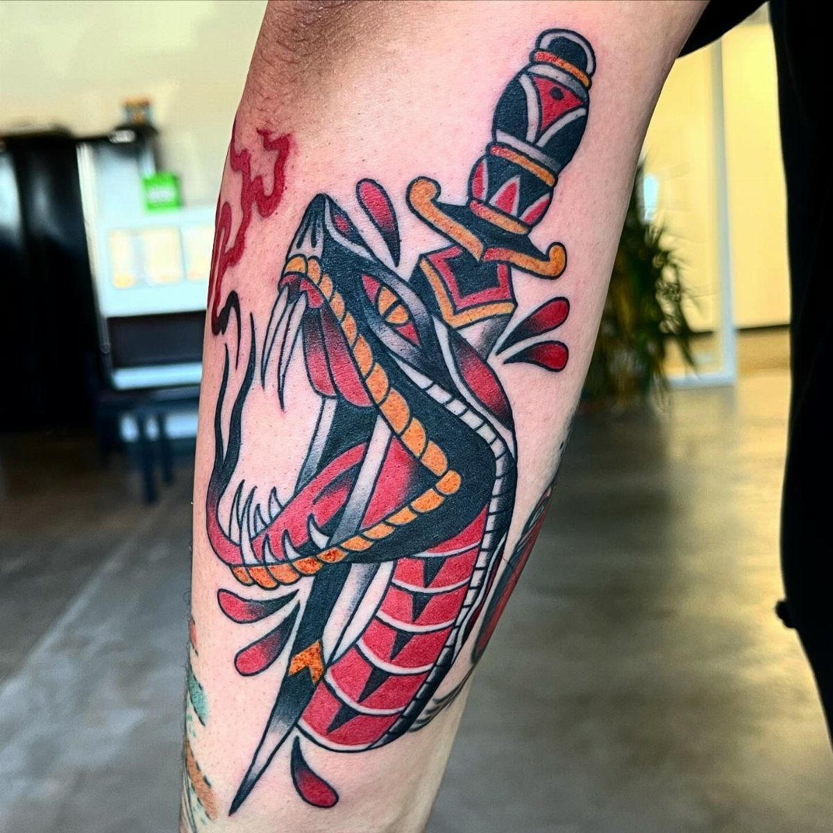 Snake and dagger tattoo in traditional style on a person's forearm.