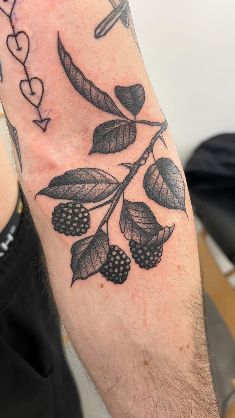Blackberry branch tattoo with leaves and berries on a person's forearm