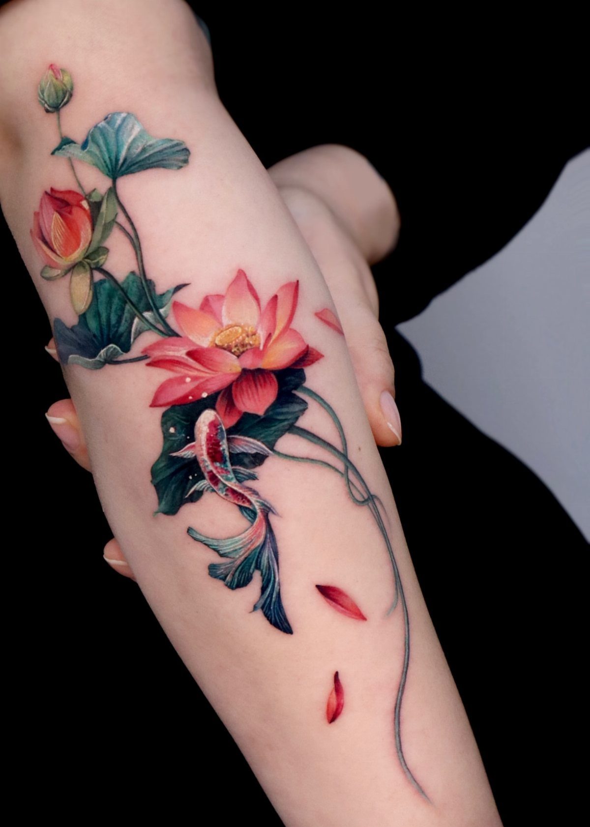 Lotus flower and koi fish tattoo on a person's forearm with vibrant colors.