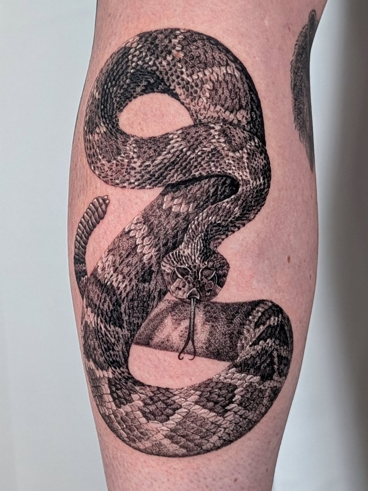 Detailed black and grey snake tattoo coiled around a person's forearm