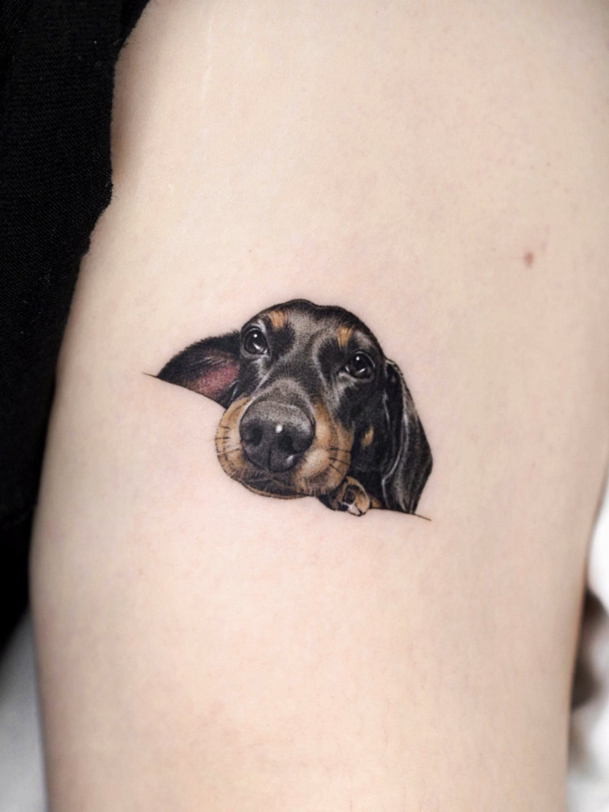 Realistic dachshund dog head tattoo on a person's pale arm skin