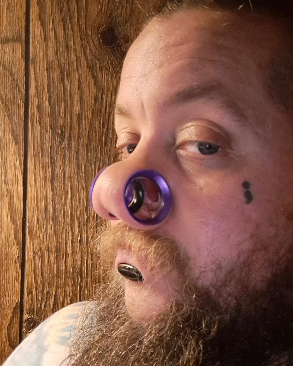 Person with a beard wearing a thick purple tapered septum plug piercing.