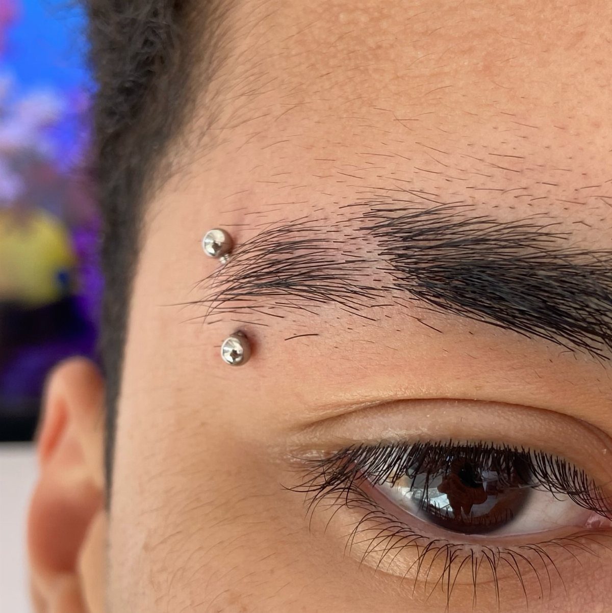 Person's eyebrow and eye featuring two silver ball-end stud piercings on the brow.