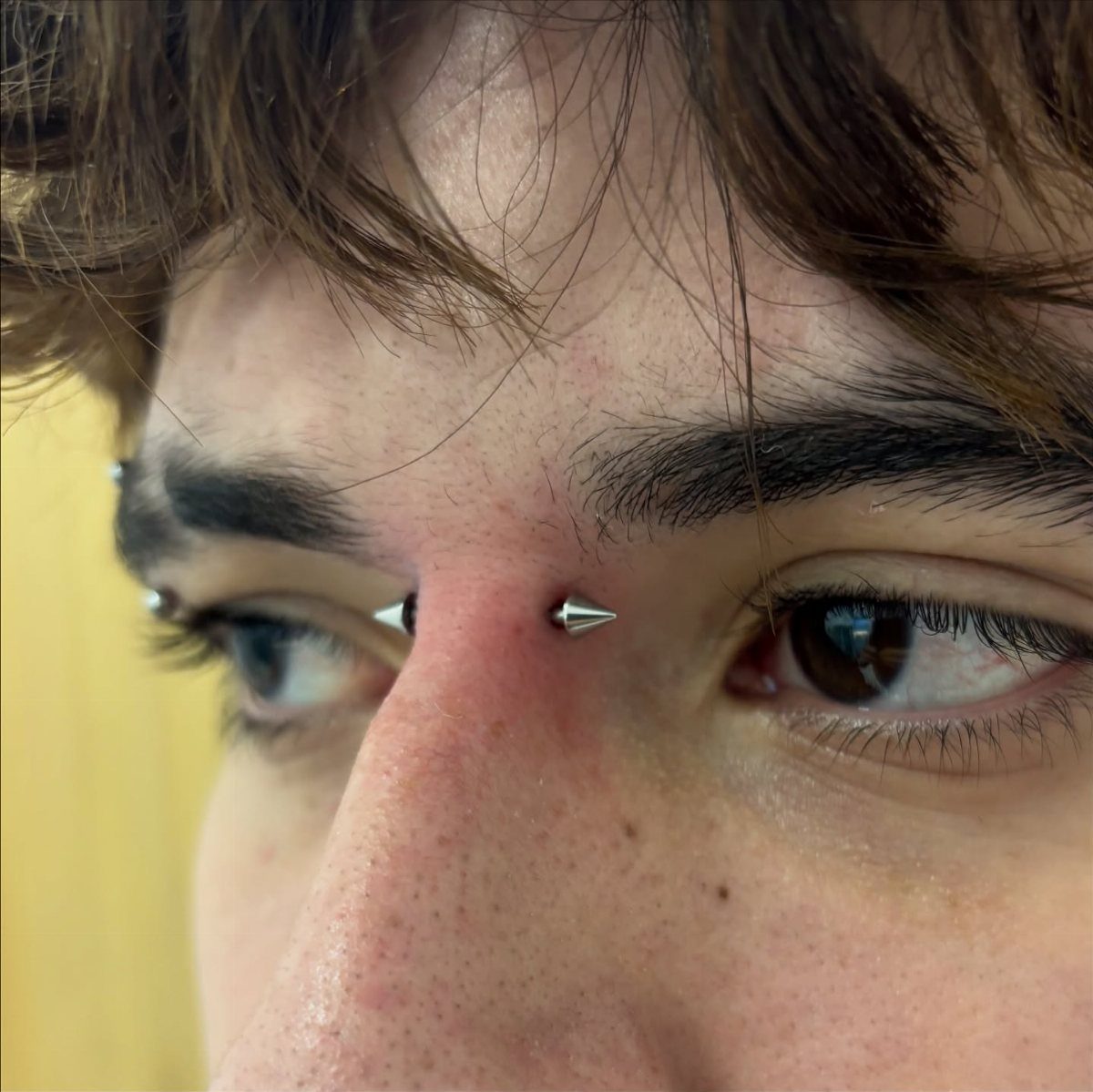 Vertical Bridge Piercing: 7 Jewelry Ideas and Styles 6 Vertical bridge piercing with silver conical studs on the bridge of a nose.